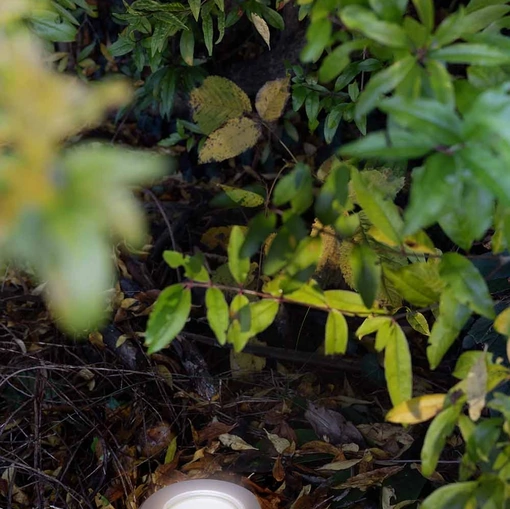 Lampada da esterni Lux Floor di ILTI luce