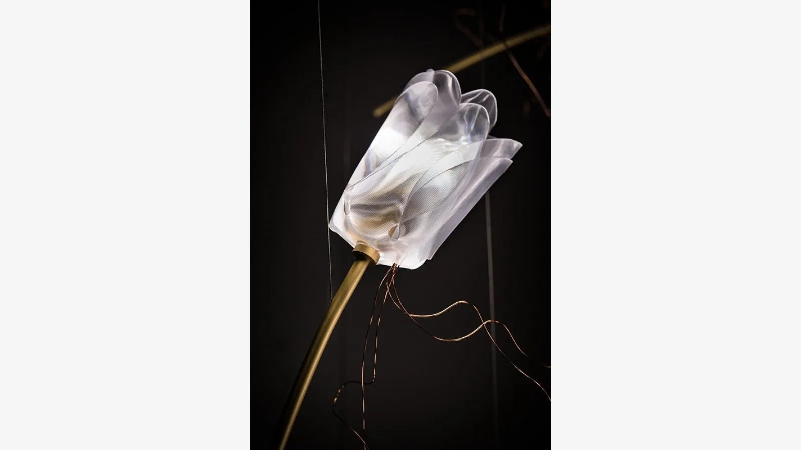 LampadaTulip Suspension di Slamp