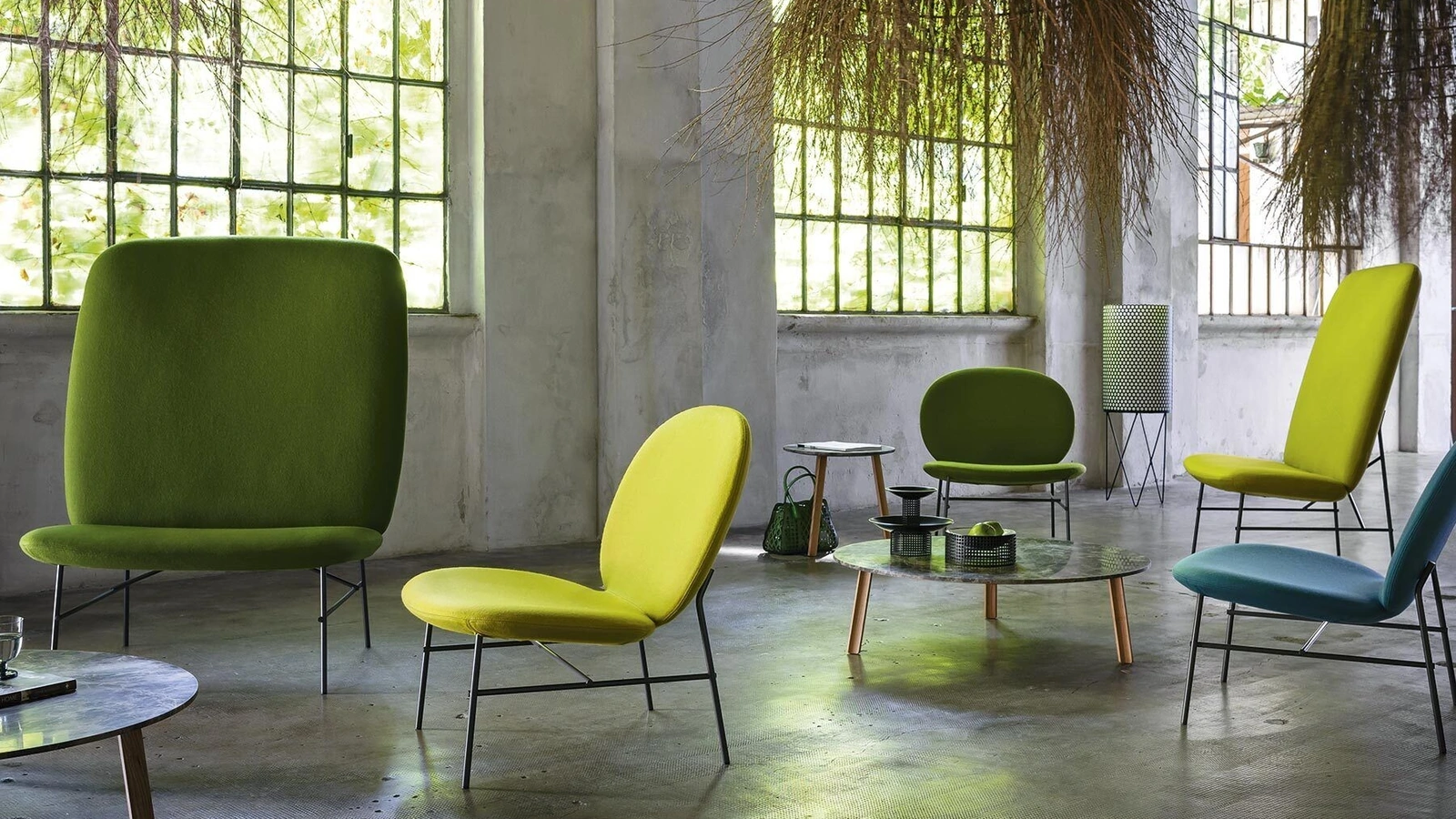 Poltroncina Kelly E di Tacchini